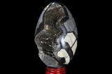 Septarian Dragon Egg Geode - Black Crystals #95994-2